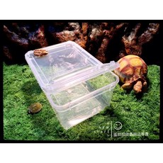 蛋叔叔NOMO爬蟲飼養盒/整理盒/飼養箱/寵物箱/守宮盒/角蛙盒/烏龜盒/守宮缸/工作室專用/豹紋守宮/人渣盒, 1個, 透明白-S19x13x8cm(無水盆), 透明白