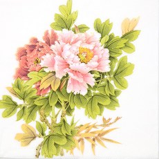모란꽃 냅킨 K-16-028, 혼합, 1세트, 5개