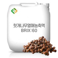 헛개나무열매농축액 60Brix 200g 샘플, 1개