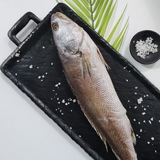 반건조 손질 생선 민어 국산참민어 반건조참민어 여수참민어 제수용민어 통민어, 1개, 국산참민어 42cm