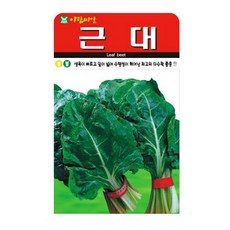 근대 씨앗 500립 종자 근대씨 근대씨앗, 4개