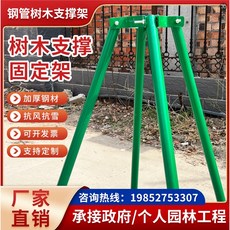 鍍鋅鋼管樹木支撐架 - 園林綠化大樹防風支撐桿苗木固定器, 1個, 32管1.2壁厚1.5米長4根 抱箍