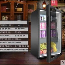 초소형 쇼케이스 냉장고 음료 업소용 수납장 냉장 가정용 소주 냉동고 냉장보관 주류 원룸, 기본 모델명/품번, 55L 압축기