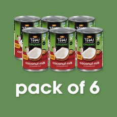 타이키친 코코넛 밀크 언스위튼드 글루텐 프리 비건, 403ml, 6개