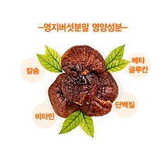 천연재료 영지버섯분말 180g