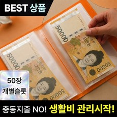 브로미 현금바인더 100칸 저축챌린지 다이어리 생활비 예산관리 캐시스터핑, 1개, 오렌지