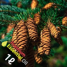 J017 파인니들 1L (Pine Needle Essential Oil) 천연에센셜 오일 원액 아로마, 1개