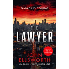(外文書)The Lawyer: A Legal Thriller Paperback, Vinci Books Ltd, English