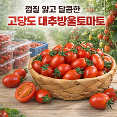 팜온네이처 산지직송 고당도 대추방울토마토 껍질얇은 대추형 방울토마토 가정용, 1개, 1kg