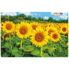 記憶中的拼圖向日葵, 1個