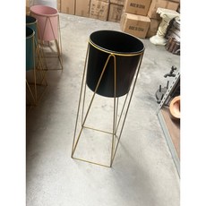 霏霏園藝裝飾盤栽一組 三色可選 適用六吋盆 美化居家環境, 1個