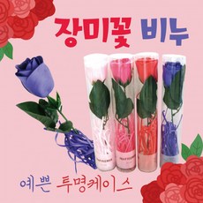 장미비누꽃 장미꽃/카네이션비누꽃/장미/로즈데이/어버이날/스승의날/카네이션, 1개, 장미비누꽃(원통형-핫핑크)