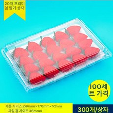 딸기 포장상자 투명 보틀 케이크에 세트 용기, 1개, 내부 트레이 포함 20개