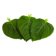 야채왕 깻잎30장 봉지, 1개