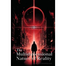 (영문도서) The Multidimensional Nature of Reality: Transcending the Limits of the Human Mind Paperback, 22 Lions Bookstore, English, 9798330519927