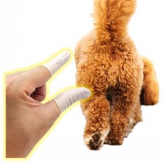 강아지항문짜개 골무 50개입, 1개, 상세페이지 참조