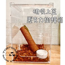 慢慢爬 每日出貨 磁吸上蓋壓克力樹棲箱 壓克力箱 飼養箱 樹棲 磁吸, 1個