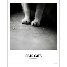 Irocheu Dear Cats vol 1：與貓同住的方法, 李容韓, 金河妍, 高敬遠, 姜仁圭, 盧珍熙, 盧熙貞, 朴容俊, 李容韓, 李政勳