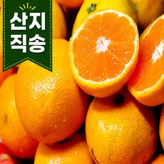고당도 제주 하우스감귤, 1박스, 2kg