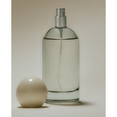 자라홈 브랜드관 (100ML) ÉCLAT DE LYS 스프레이 디퓨저 45492706406, 14 x 4 x 4 cm, 블루