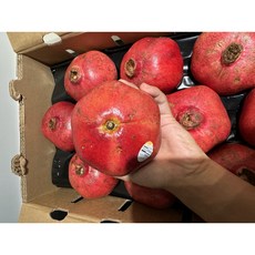 프리미엄 생 석류 미국산 직수입, 1박스, 석류 중과 1kg (3과 내외)