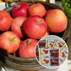 안동사과즙 저온살균 무첨가 사과100착즙, 40개, 100ml