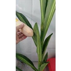 옥수수 조화 인조 식물 높이의 인테리어 대잎 1개, 옥수수 3개