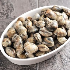 경남 통영 왕바지락 2kg, 1개, 왕바지락2kg