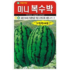 미니 복수박 씨앗 (합 10립) 수박씨 미니수박 수박씨앗, 2개