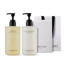 캄모멘트리 떼르말 헤드스파 정수리 샴푸&스칼프 헤어팩 세트 (500mlx2), 떼르말 헤어 기프트 세트, 1세트