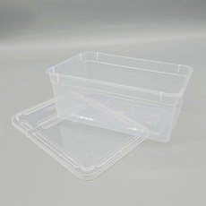 파충류 도마뱀 사육장 곤충 거북이 달팽이 밀웜 집 C4 크리스티드게코사육장, 없음, 없음, 상세설명 참조