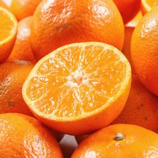 [오늘신선] 제주직송 갓 수확한 하우스감귤 대과 1kg (L-2L), 1개, 상세 설명 참조