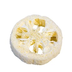 愛草學 天然圓餅形絲瓜絡*1入 (可當皂墊/可去角質/可當清潔用品), 5個, 圓餅形絲瓜絡