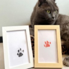 소형 잉크패드 고양이 강아지 발도장 스탬프 어린이 손발바닥 찍기 세트, 단품