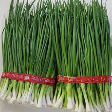 당일손질 국내산 포항 송라 보경사 깐쪽파 햇쪽파, 900g, 1세트