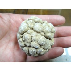 能量礦石 泰國宗教礦物 腦舍利 130公克 5.0公分, 1個