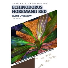 (영문도서) Echinodorus Horemanii Red: From Novice to Expert. Comprehensive Aquarium Plants Guide Paperback, Independently Published, English, 9798854153003