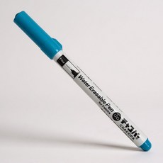 포에스 일본 F2 차코수성펜 가는타입-블루, 1개, 블루