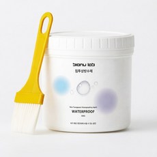 비오누랩 프리미엄 침투형 투명 방수제, 1개, 500g, 투명A