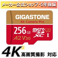 sd 256GB 4K Camera Pro microSDXC UHS-I A2 V30 U3 C10 Ultra HD 4K Gopro 100MBs SD [5년 데이터