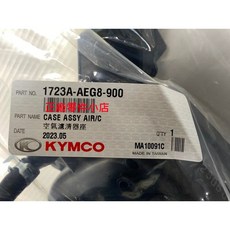 光陽正廠 AEG8 空氣濾清器箱 噴射版 GP GP2 VP CUE XGOING XSENSE 2V, 1個