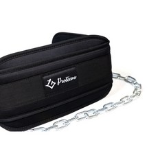 Proteam 負重腰帶