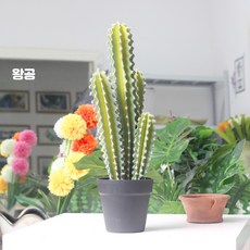 끄롱마제 인조 조화식물 거실 사무실 인테리어 대형 가짜식물 플랜테리어 조경 화분 실내소품 생화같은 디자인, 작은사이즈높이약50cm