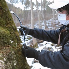강원도 인제 고로쇠 수액 고로쇠생물 첫물, 500ml, 18개