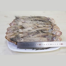 마른가자미(500g)중소(약25~35미) 튀김 구이 조림 안주 반찬 물가자미 해인수산, 1개