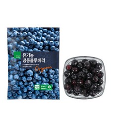 [딜라잇가든] 냉동 유기농 칠레산 블루베리, 1개, 700g