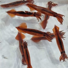 한입 미니 오징어 통찜 숙회 볶음 500g 1kg, 1개, 1kg(15미 내외)