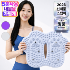 마요른 바운스 가정용 에어 발지압 스텝퍼, 실버클라우드