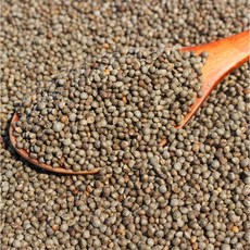 국산 햇 생들깨 통들깨 1kg, 1개