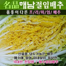 (해남산지직송) 명품해남절임배추 20kg (국산천일염 프리미엄품종 30년배추농사) (11월6일부터 출하됩니다.), 1박스, 추가정보에 도착 날짜 입력하기